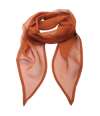 PR740 Premier 'Colours' Chiffon Scarf Chestnut colour image